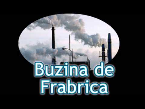 Leia mais sobre o artigo 🚨 Alerta! Sons de Buzina da Fábrica – Ative já! 🚨