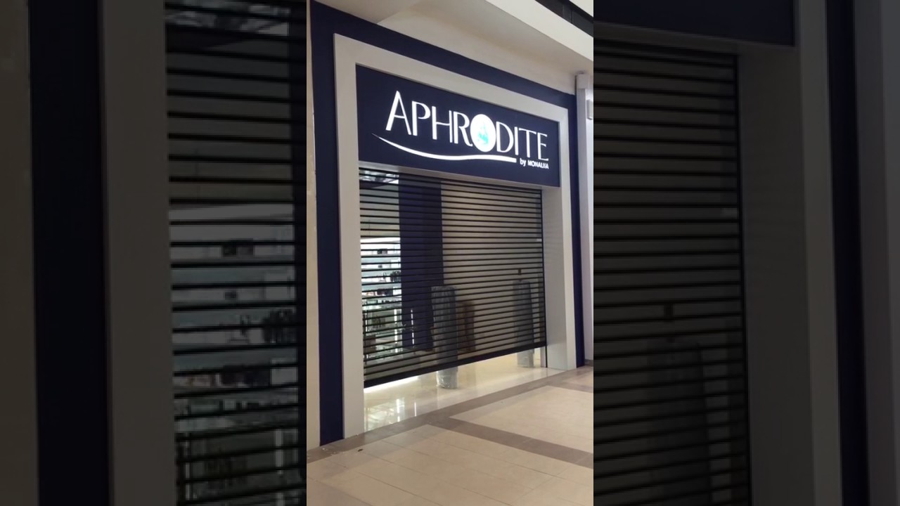 Leia mais sobre o artigo Transforme seu espaço com a Porta Automatizada Aphrodite!