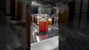 Leia mais sobre o artigo Manual vs. Automatizada: Qual a Melhor Hemocultura? #biomed