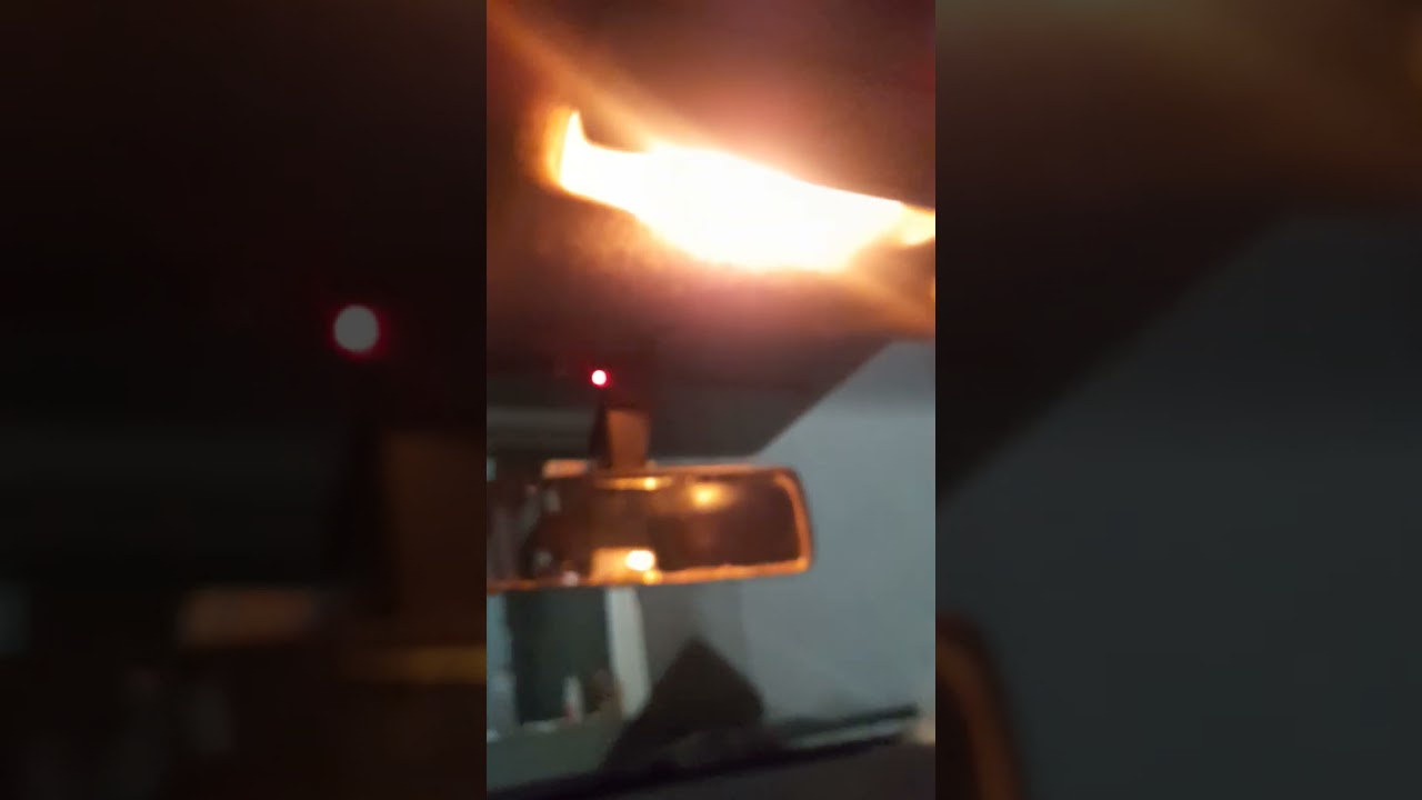 No momento, você está visualizando Alarme do Fox: Disparo Inesperado e Irritante!